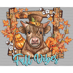 Cow-NIU 2528